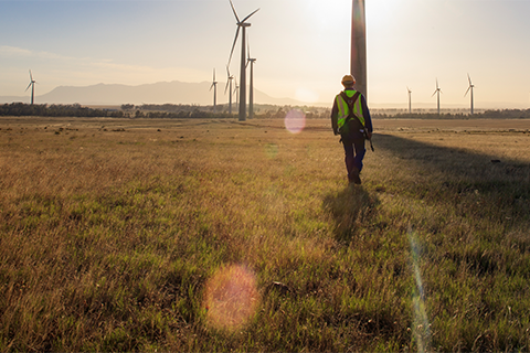 Graduate Programs sustainable business